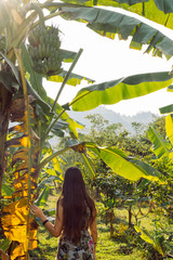 Tourist young woman in summer clothes on a palm tree forest in Thailand. Healthy green bananas. Travel and holidays lifestyle. Environmental concern concept. Take care of world natural resources.