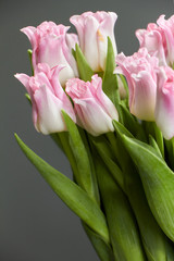 Glass vase with pink tulips on a dark wooden table, greeting background or concept
