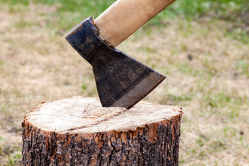 The wood chopper sticks out in wooden hemp. Ax and ax handle. Woodworking. Deforestation by a sharp axe. Ax to chop wood. Rusty but very sharp forester's ax or carpenter's axe.