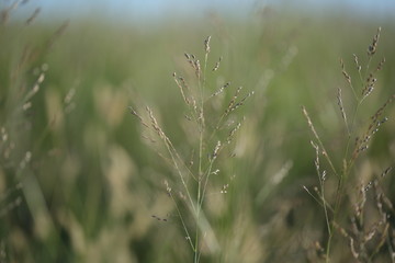 Texas quiet moment, perfect for imagination to kick in