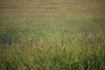Texas quiet moment, perfect for imagination to kick in