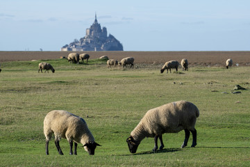 Le Mont Saint-Michel in Frankreich -Normandie