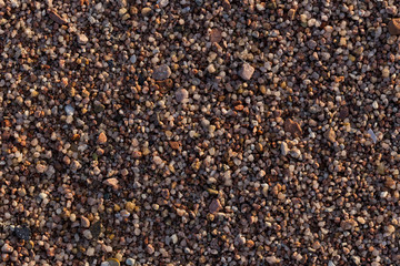 Small pebbles form the background of the sea shore. Coarse multicolor sand.