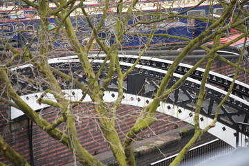 Birmingham Canals through trees daytime cloudy