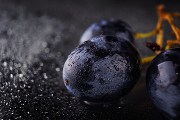 Dark grapes close-up in drops of water. Spectacular macro photo with beautiful bokeh. The concept of useful vitamin food, berries.