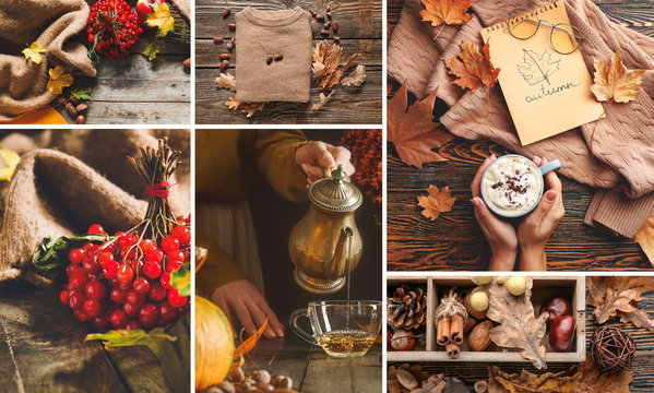 Collage of photos with different autumn compositions
