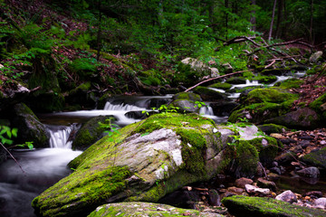 A Place by the River
