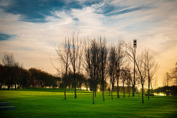 Obraz premium Autumn sunset in the park, Vila Nova da Barquinha, Portugal