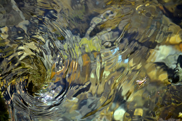 Wasserstrudel mit bunten Kieselsteinen im Bach