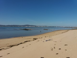 beach and sea