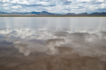 USA, Nevada, Lincoln County, Basin and Range National Monument. A summer monsoon rain fills usually dry lake bed in Coal Valley with muddy water.
