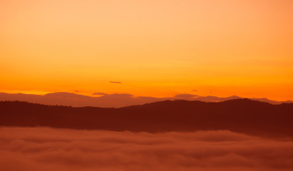 Beautiful sunset with silhouette tree background.