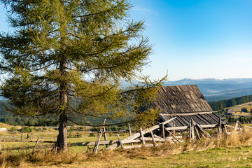 Autumn rustic landscape with old hut, sunny autumn day, in Carpathian mountains, Romania