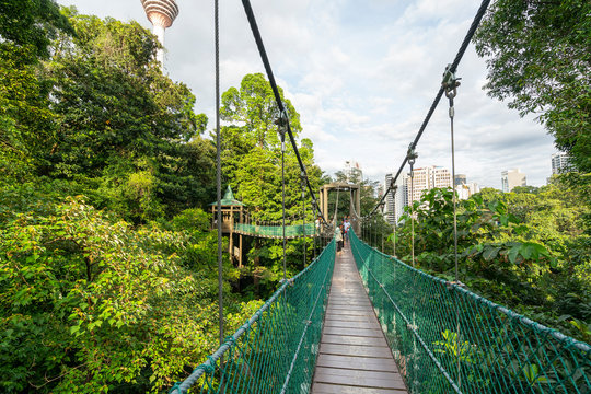 Bukit Nanas Forest Natural Reserve In Kuala Lumpur