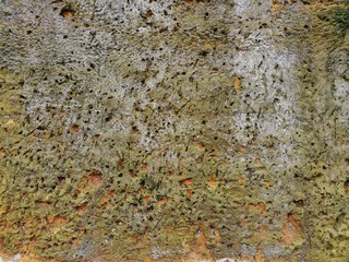 The old wall of the house with moss due to high humidity, traces of destruction and time. Grunge background