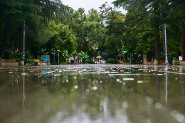 Street. The wet road after a rain 