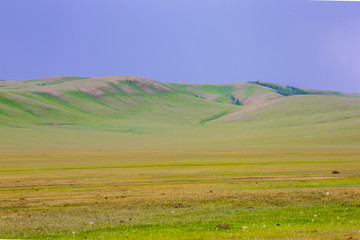 Fototapeta na wymiar mongolie paysages de la steppe