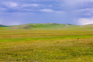 mongolie paysages de la steppe