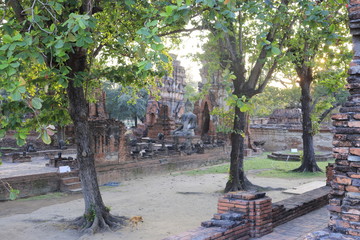 A beautiful view of buddhist temple in Ayutthaya, Thailand.
