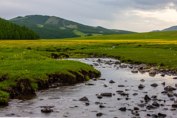 mongolie paysages de la steppe