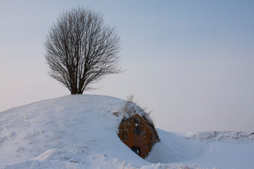 a lonely tree on a hill