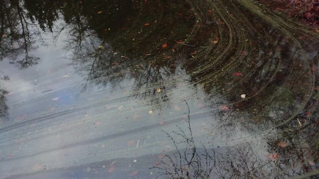 Slow moving mud in pond water and reflections of trees