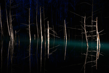 ライトアップされた夜の湖　美瑛町