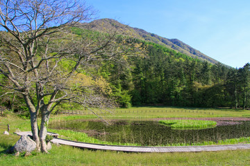 Fototapeta premium 三瓶山の姫逃池
