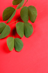 Indian Festival Dussehra, showing golden leaf on red background. Greeting card.