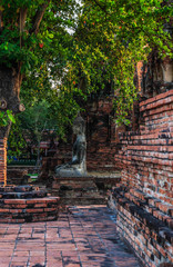 Fototapeta na wymiar A beautiful view of Wat Mahathat temple in Ayutthaya, Thailand