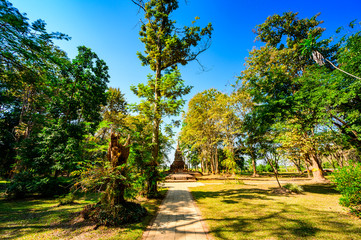 Teak tree with old pagoda in Pa Sak temple