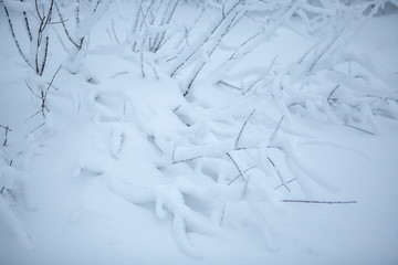 Fototapeta na wymiar Blurred defocused snowy winter forest background