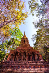 Old pagoda with teak trees in Pa Sak temple