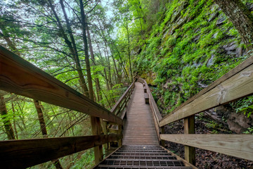 Hemlock Falls Trail, Cloudland Canyon State Park, Georgia, USA	