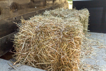 Haystack small in the sun. Lying on the ground