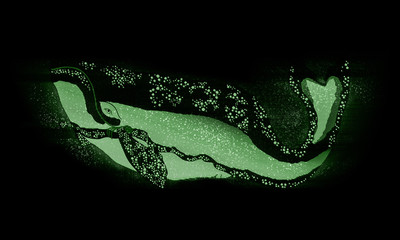 浮世絵　鯨　その1　ホログラム © KIMASA