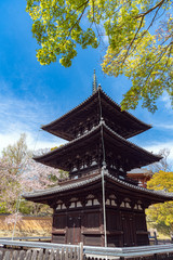 Fototapeta premium 奈良 興福寺の春景色 三重塔