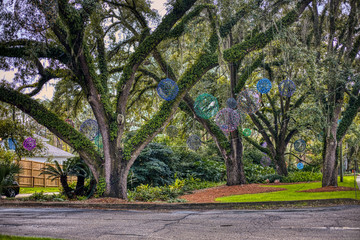 Winter and Autumn scenery around town