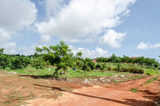 Corner Of Dirt Roads
