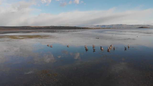 El Calafate - Lake Argentino