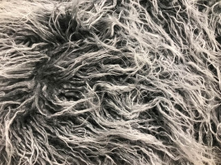 Gray rug or long hair carpet texture and background