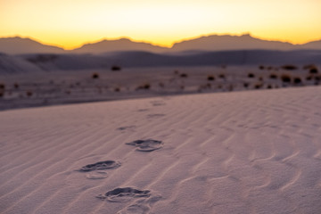 footprints in desert sand at sunset