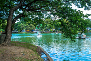 A beautiful view of Lumphini Park in Bangkok, Thailand.