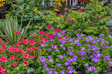 Beautiful floral arrangement/gardens located in South Georgia and North Florida