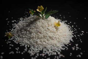 white rice with the flower on the top isolated on dark background 