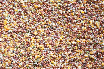 All kind of beans and legumes mix great for health