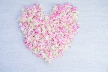 Beautiful heart shape pink Bougainvillea on blue tile.