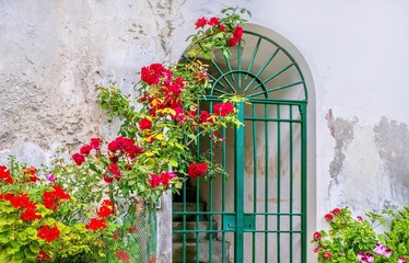 Fototapeta na wymiar Summer in Italy, with a street view of an arched entryway with an iron gate, set in an old, cracked, pitted wall, along with an ornamental garden of colorful roses, geraniums, and pansies.