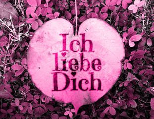Ich liebe dich translation in German: I love you - written on heart shape leaf (Hibiscus tiliaceus)