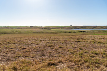 Obraz premium Farm in southern Brazil and the Pampa landscape5
